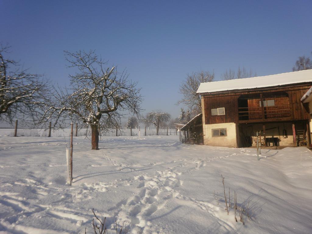 Familiehuis Fuchs Villa Horni Branna Exterior photo